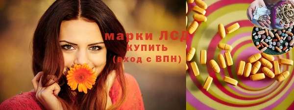 шишки Абаза