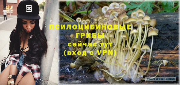 крисы Великий Новгород
