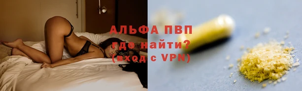 прущие грибы Орск