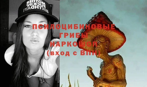 шишки Абаза