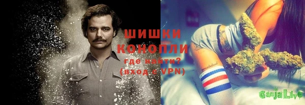 ГАЛЛЮЦИНОГЕННЫЕ ГРИБЫ Абдулино