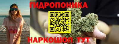 молекула духа Анжеро-Судженск