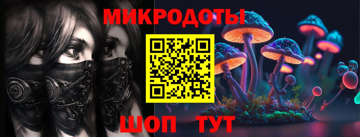 Галлюциногенные грибы Psilocybine cubensis Уфа